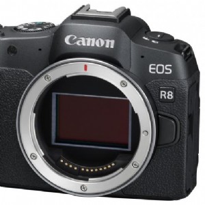 Canon 推出最輕光鏡 R50 與最輕全幅 R8