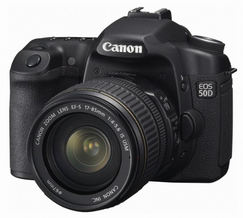 [Nikon] Nikon D90, Canon 50D 比較